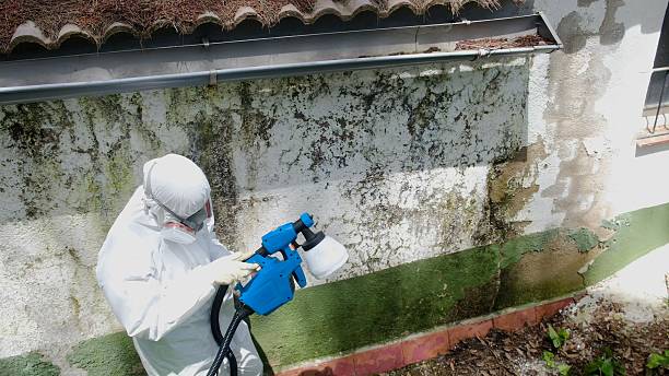 Top rated local Bathroom Mold Removal specialists in Edgewood, PA
